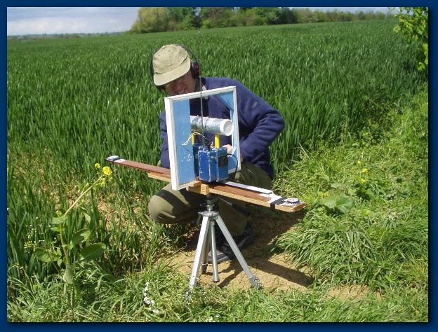 600x449 pixels (193K)